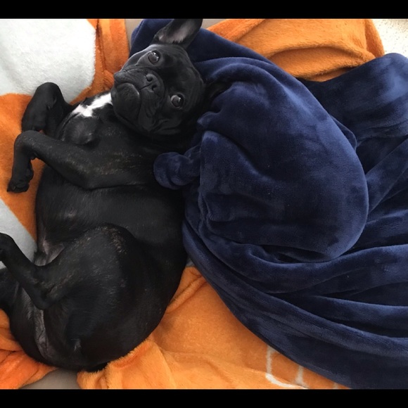 Meet your Posher, Debi - Picture 6 of 15